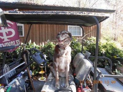 Flossie posin' with her oak stick