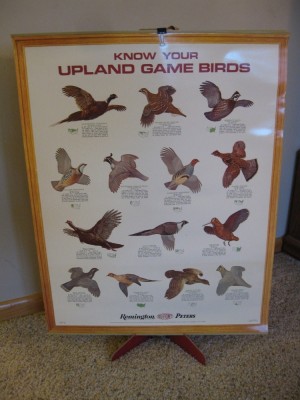game birds.jpg