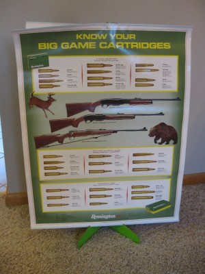 Remington display.jpg