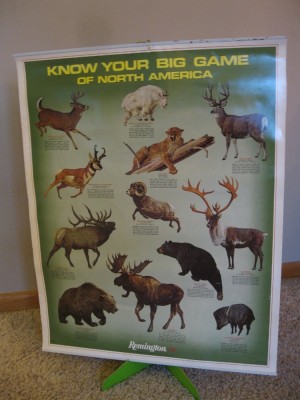Remington big game.jpg