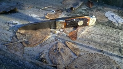 WP_20161216_002.jpg