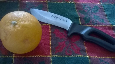 WP_20161225_003.jpg