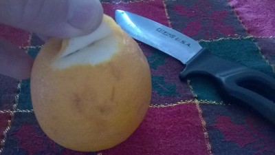 WP_20161225_007.jpg