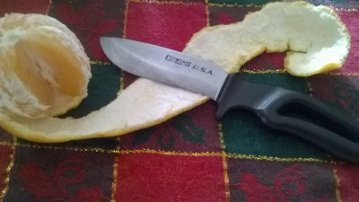 WP_20161225_008.jpg