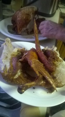 WP_20161225_027.jpg