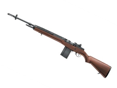 M14.jpg