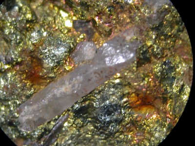 106.JPG
