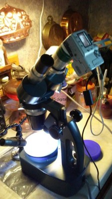 nikon on scope2.jpg