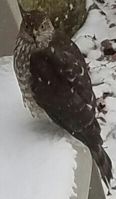 20170106_100459.jpg