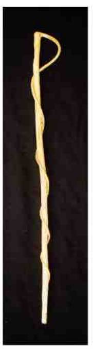 Juniper cane.jpg
