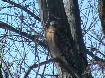 DSC00067.JPG