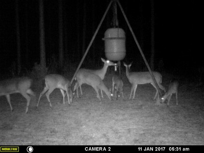 A whole wad of 'em showed up for picture time.