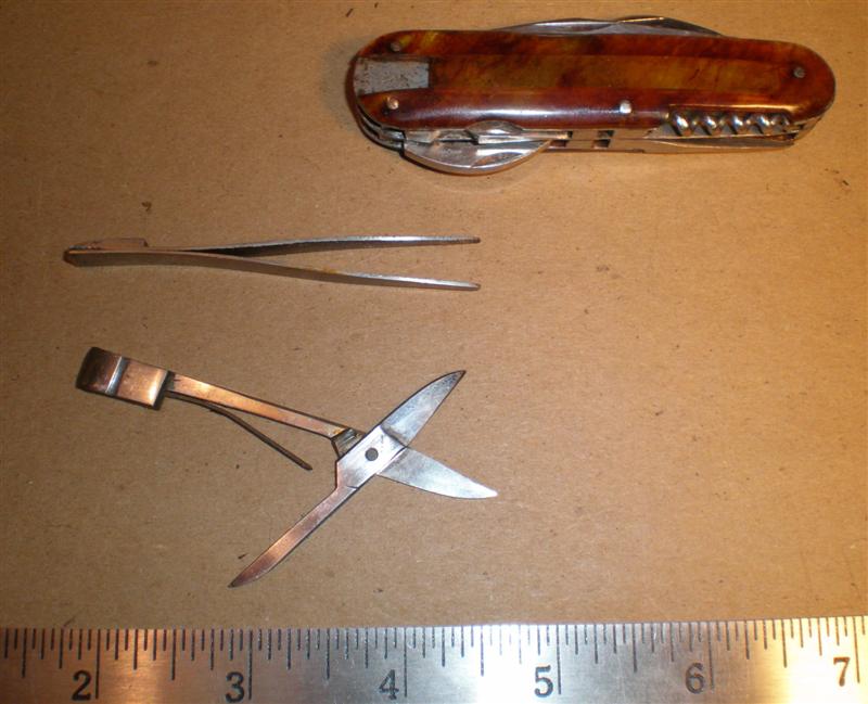 P7160167 (Medium).JPG