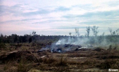 Burned out hooch