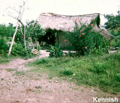 Before the napalm hit
