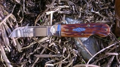 WP_20170103_005.jpg