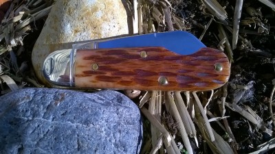 WP_20170103_010.jpg