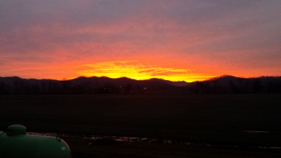 20170119_073007_8_bestshot.jpg