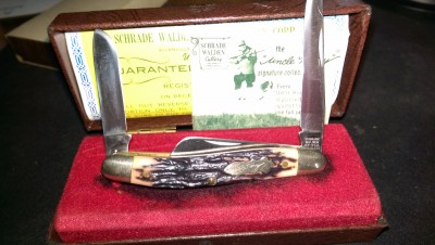 IMAG0446.jpg