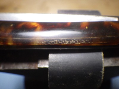 RIMG0815.JPG
