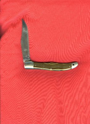 agate Western States hunter001.jpg
