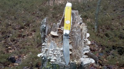 20170123_143104.jpg