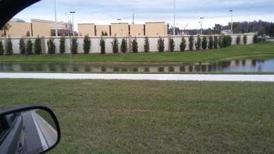 20170127_082312.jpg