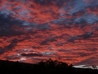 PA041062.JPG