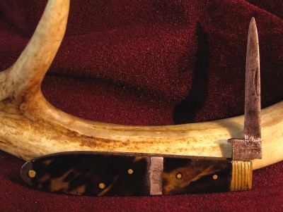 G-Crown-R Quill DSCN7313A PS.jpg
