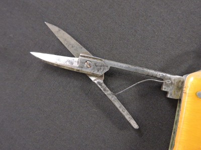 DSCN5181.JPG