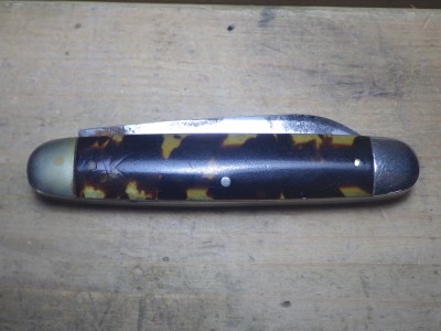RIMG0797.JPG