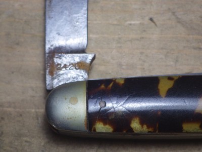 RIMG0798.JPG