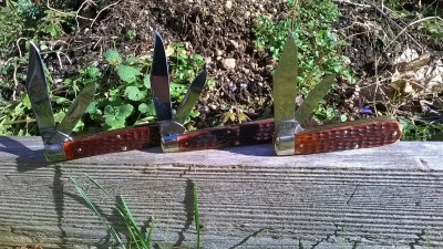 WP_20170131_002.jpg