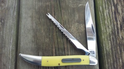 20170201_113104.jpg