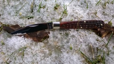 WP_20170203_002.jpg