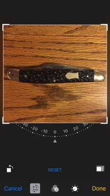 IMG_2563.PNG