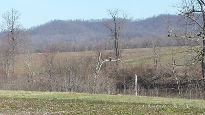 20170206_135733.jpg