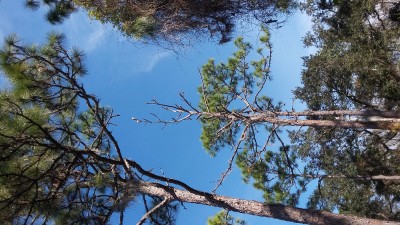 20170205_122518.jpg