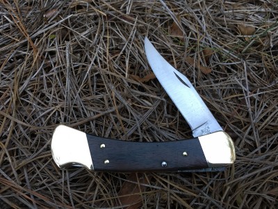 Buck 110 2-Dot (after Spa).JPG