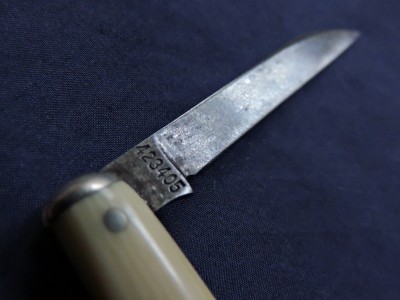 DSCN5500.JPG