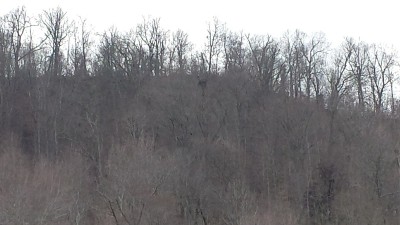 20170212_142023.jpg