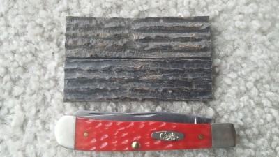 20170117_103135.jpg