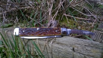 WP_20170216_014.jpg