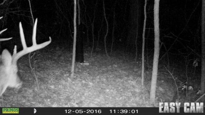 HUNT0016r.jpg (282.72 KiB) Viewed 2139 times Headin' along the trail to the feeder