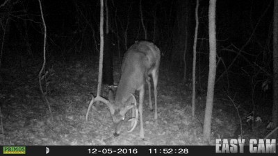 HUNT0017r.jpg (265.94 KiB) Viewed 2139 times What a deer!