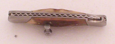buck 501 004.jpg