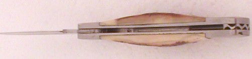 buck 501 005.jpg