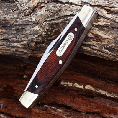 Ganzo G725M Folding Knife.JPG