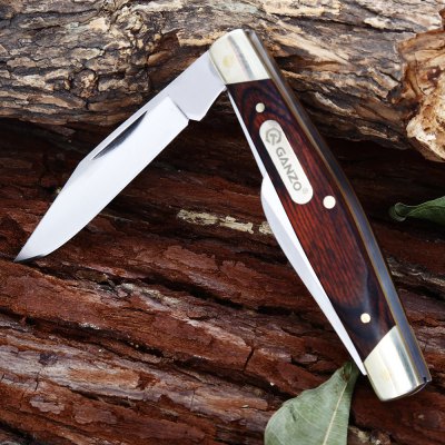 Ganzo G725M.JPG