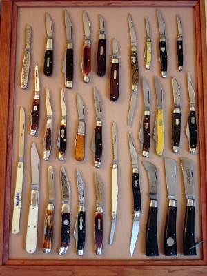 serrated muskrat top and bottom middle off to the right